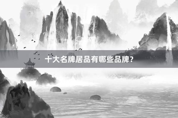 十大名牌居品有哪些品牌？